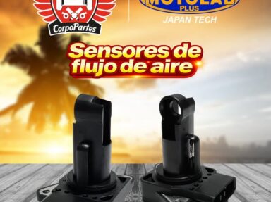 ¿Tu carro está gastando más gasolina y no camina igual?